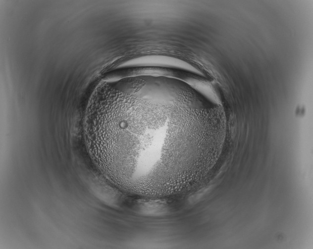 X0000090870359200707271255