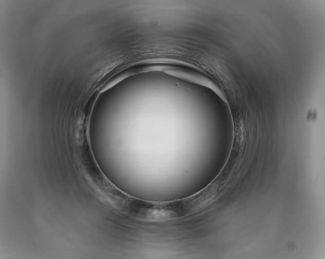 X0000090870360200707271255