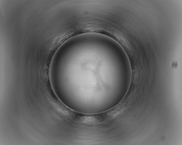 X0000090870361200707271255