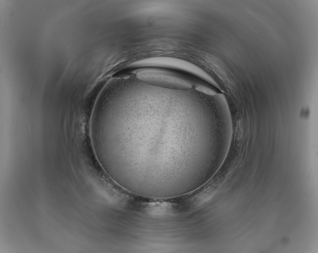 X0000090870363200707271255