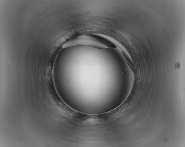 X0000090870364200707271255