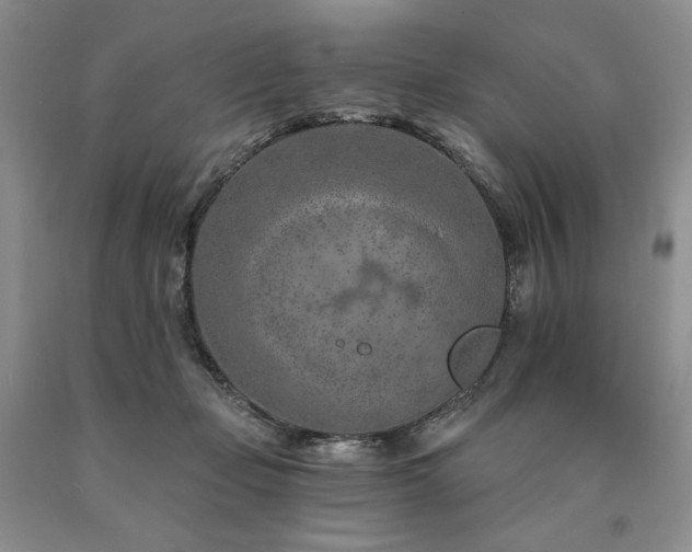 X0000090870365200707271255