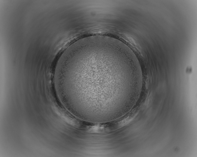 X0000090870366200707271255