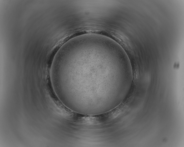 X0000090870367200707271255