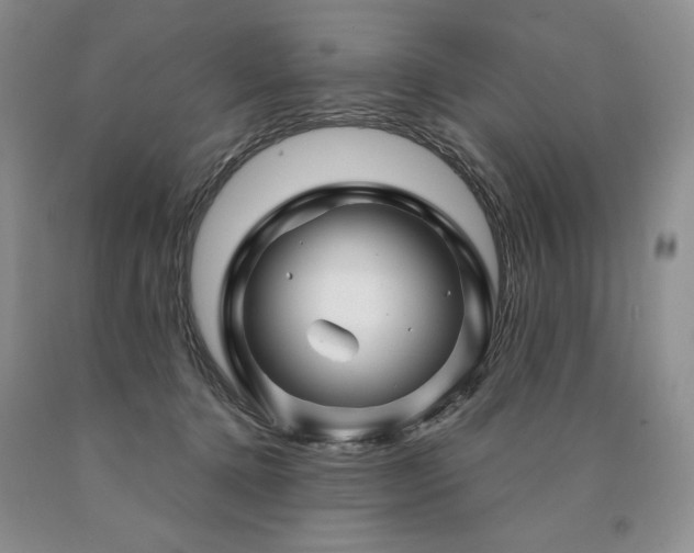 X0000090870368200707271255