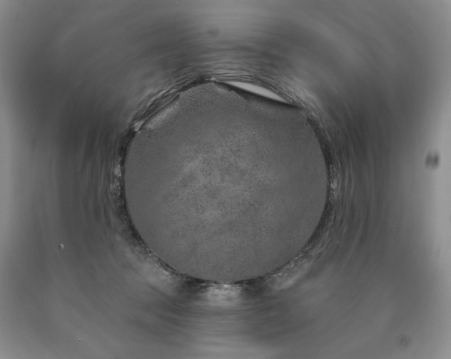 X0000090870369200707271255