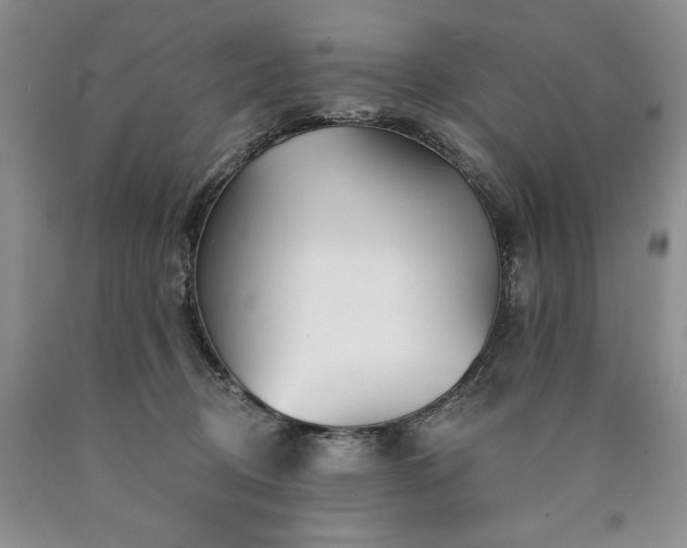 X0000090870370200707271255