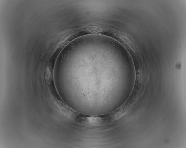 X0000090870371200707271255