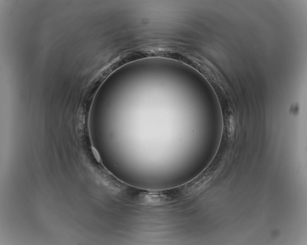 X0000090870372200707271255