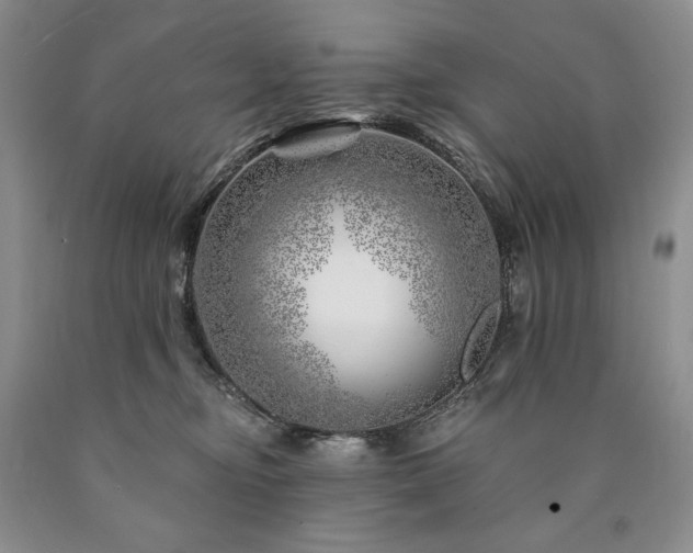 X0000090870374200707271255