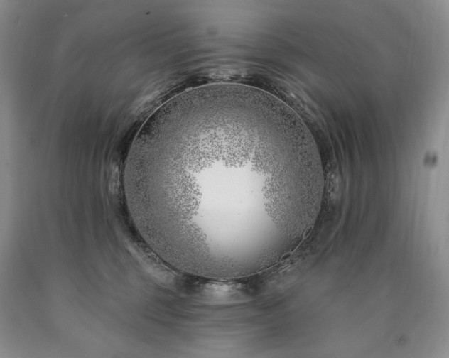 X0000090870375200707271255