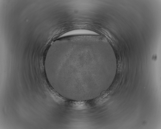 X0000090870377200707271255