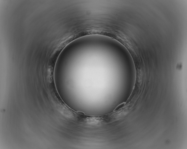 X0000090870378200707271255