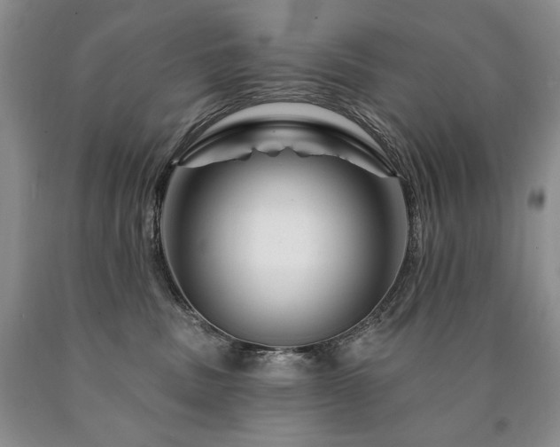 X0000090870379200707271255