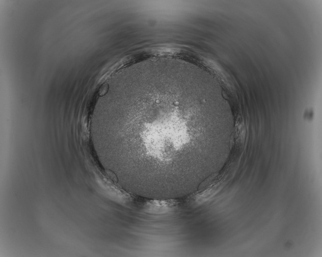 X0000090870381200707271255