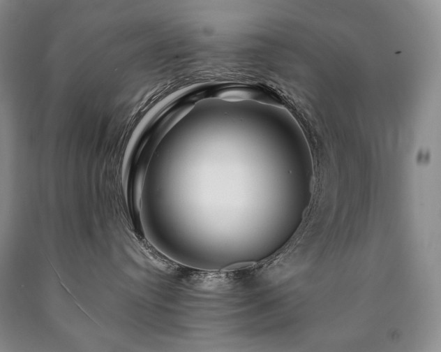 X0000090870384200707271255