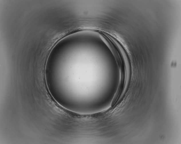 X0000090870385200707271255