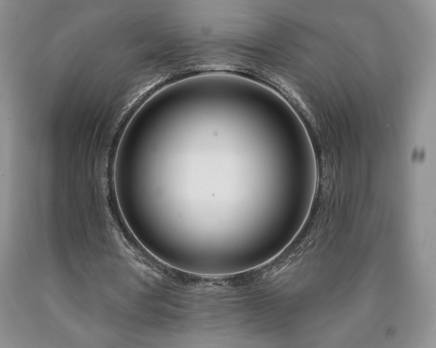 X0000090870386200707271255