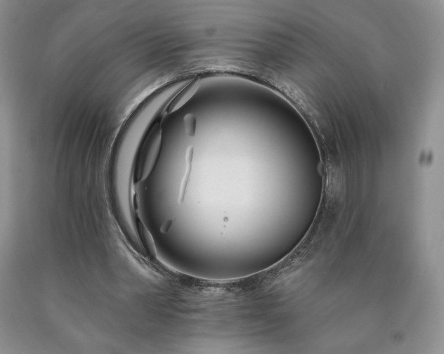 X0000090870390200707271255