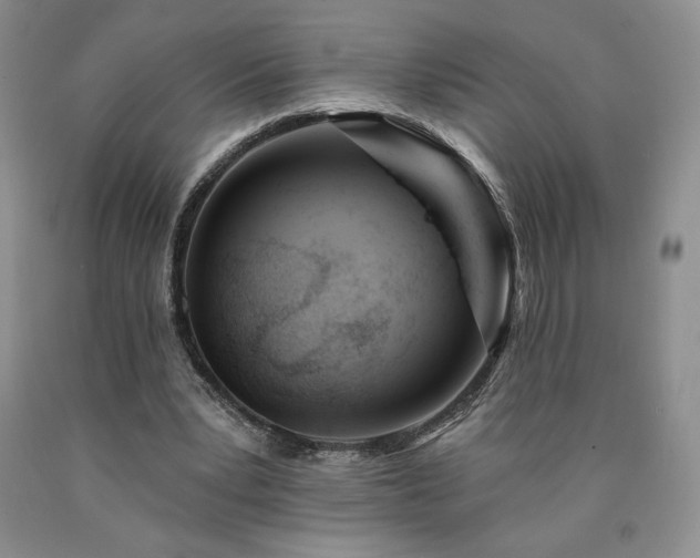 X0000090870391200707271255