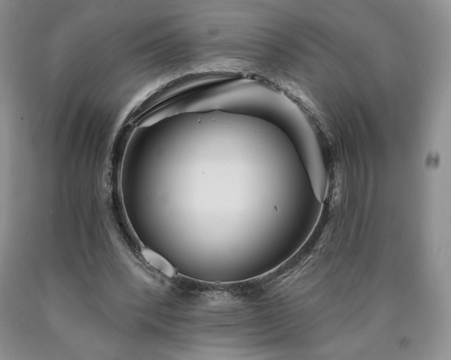 X0000090870392200707271255