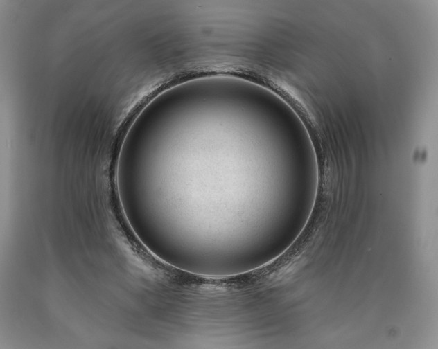 X0000090870394200707271255