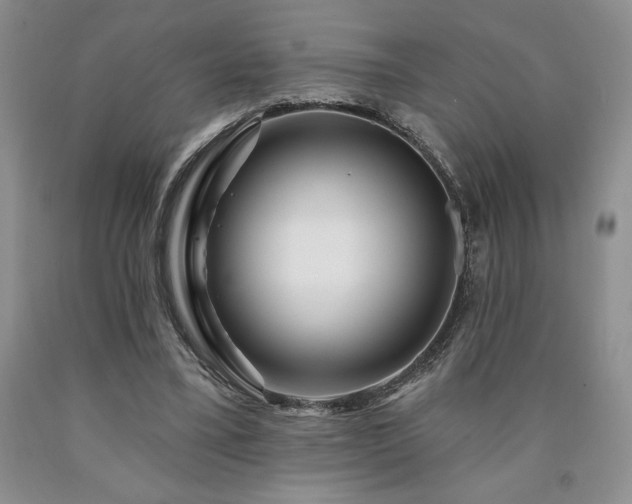 X0000090870395200707271255