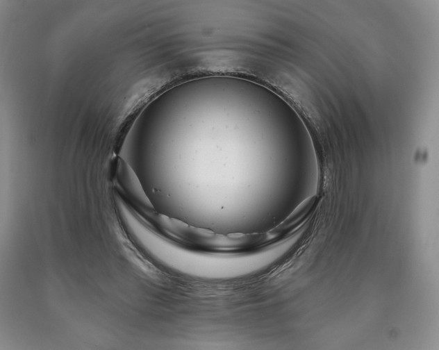 X0000090870397200707271255