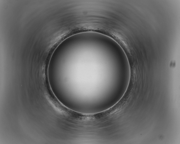 X0000090870398200707271255