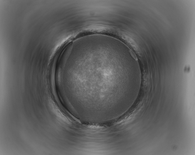 X0000090870399200707271255