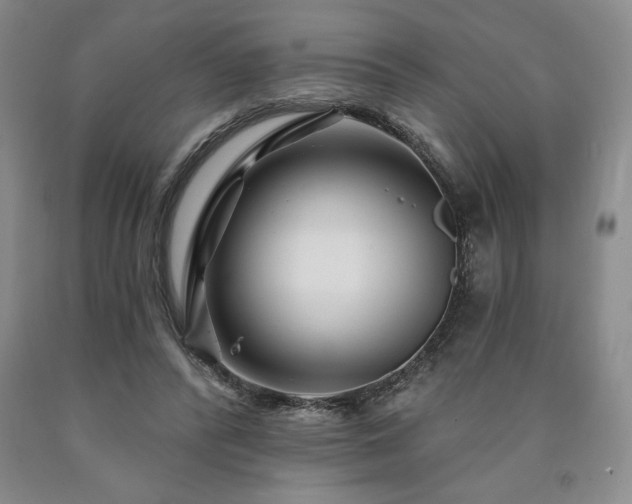 X0000090870400200707271255