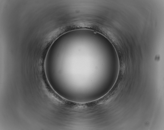 X0000090870402200707271255