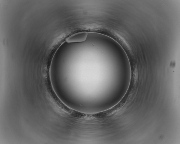 X0000090870403200707271254