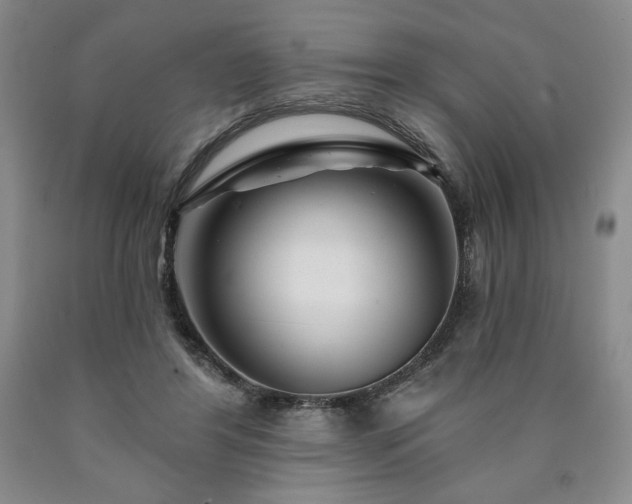 X0000090870404200707271254