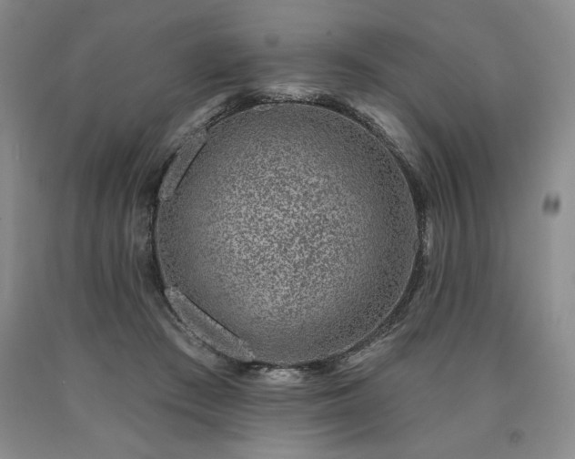 X0000090870409200707271254