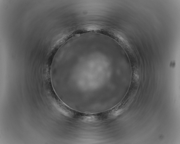 X0000090870411200707271254