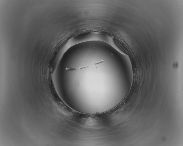 X0000090870412200707271254