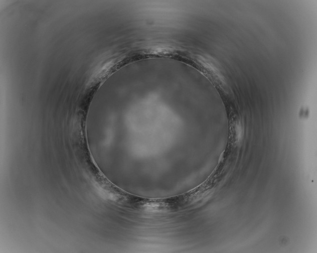 X0000090870415200707271254