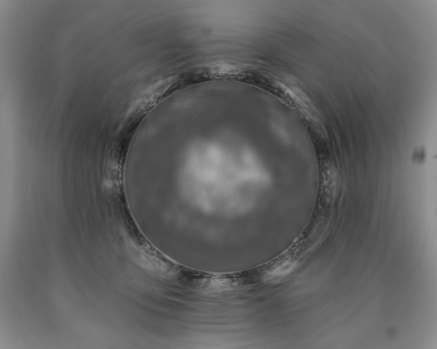 X0000090870419200707271254