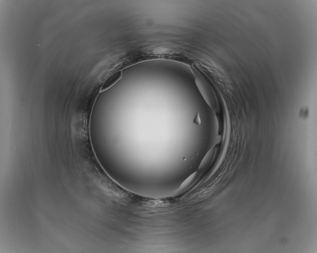 X0000090870421200707271254