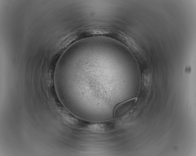 X0000090870422200707271254