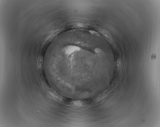 X0000090870423200707271254