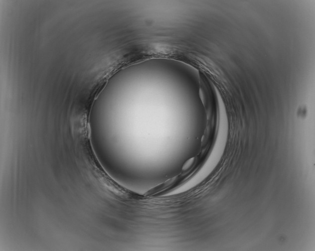 X0000090870425200707271254