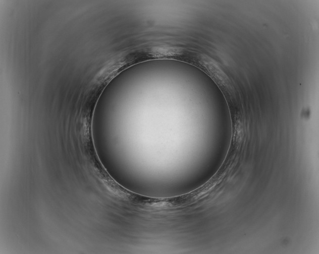 X0000090870426200707271254