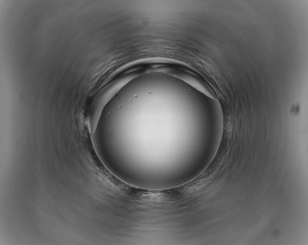 X0000090870428200707271254