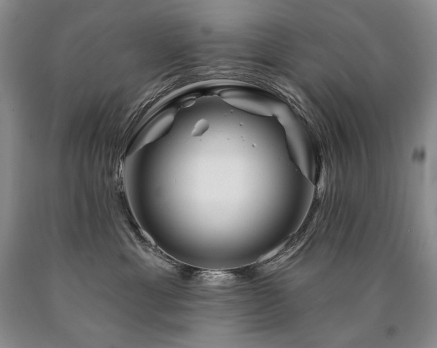 X0000090870429200707271254