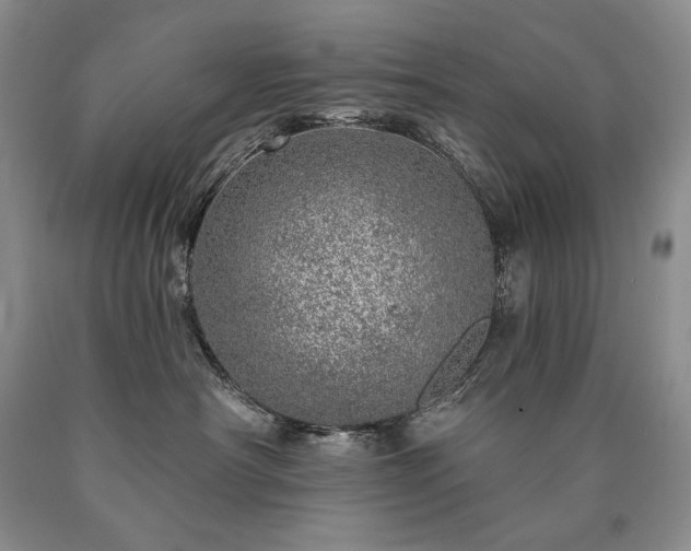 X0000090870430200707271254