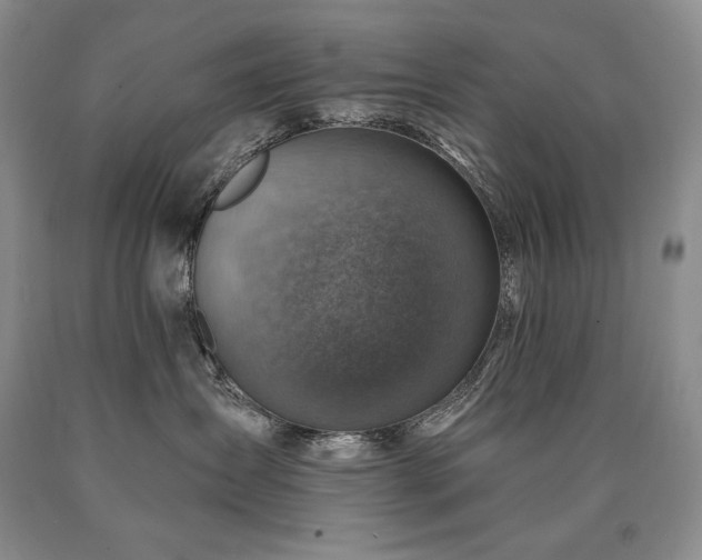 X0000090870431200707271254