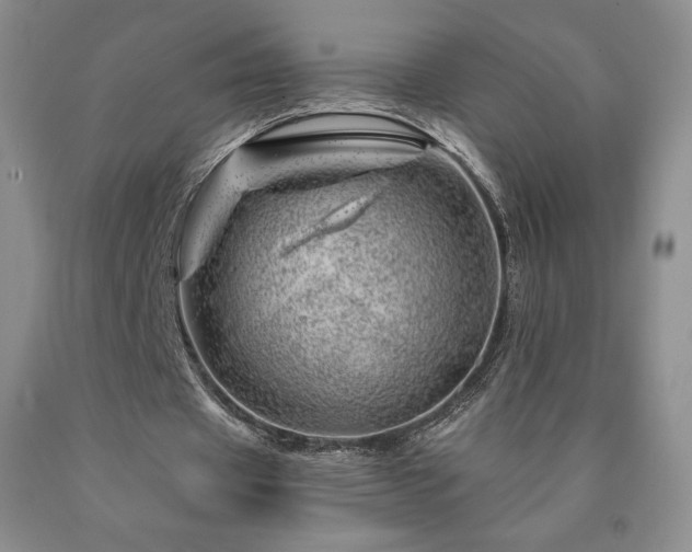 X0000090870433200707271254