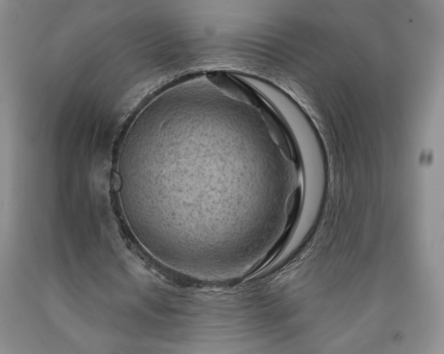 X0000090870434200707271254